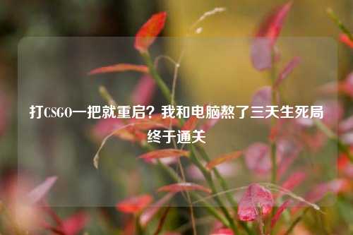 打CSGO一把就重启？我和电脑熬了三天生死局终于通关