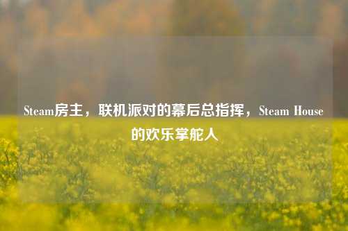 Steam房主,联机派对的幕后总指挥,Steam House的欢乐掌舵人