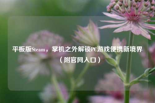 平板版Steam,掌机之外解锁PC游戏便携新境界(附官网入口)