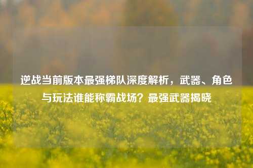 逆战当前版本最强梯队深度解析,武器、角色与玩法谁能称霸战场?最强武器揭晓