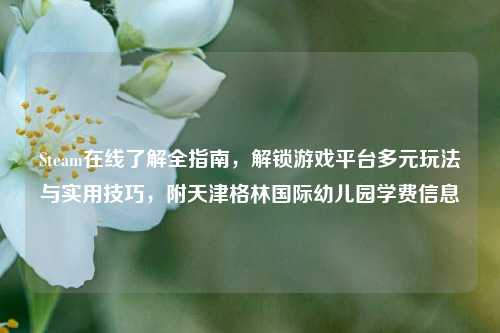 Steam在线了解全指南，解锁游戏平台多元玩法与实用技巧，附天津格林国际幼儿园学费信息