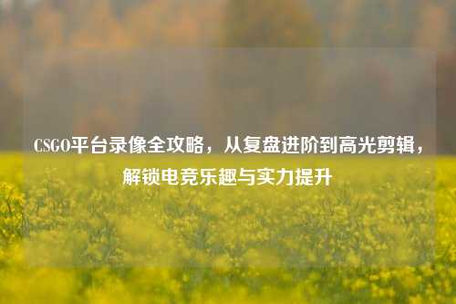 CSGO平台录像全攻略，从复盘进阶到高光剪辑，解锁电竞乐趣与实力提升