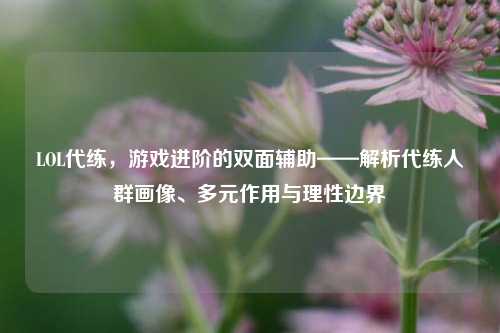 LOL代练，游戏进阶的双面辅助——解析代练人群画像、多元作用与理性边界