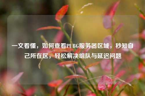 一文看懂,如何查看PUBG服务器区域,秒知自己所在区,轻松解决组队与延迟问题