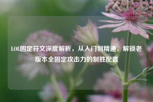 LOL固定符文深度解析,从入门到精通,解锁老版本全固定攻击力的制胜配置