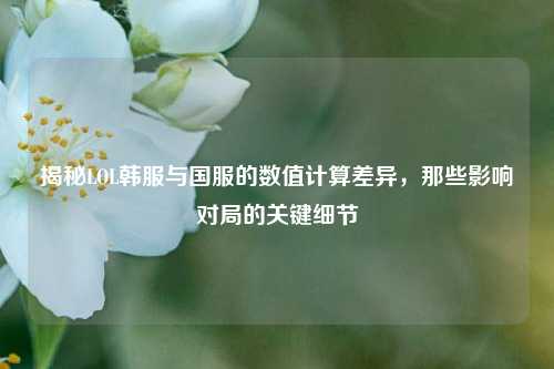揭秘LOL韩服与国服的数值计算差异，那些影响对局的关键细节
