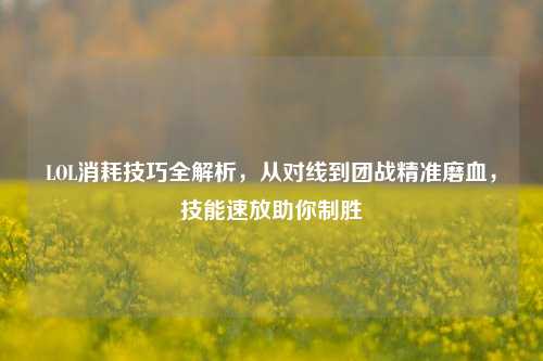 LOL消耗技巧全解析，从对线到团战精准磨血，技能速放助你制胜