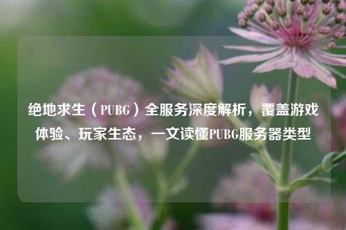 绝地求生(PUBG)全服务深度解析,覆盖游戏体验、玩家生态,一文读懂PUBG服务器类型