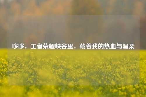 哆哆,王者荣耀峡谷里,藏着我的热血与温柔