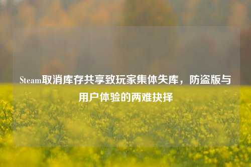 Steam取消库存共享致玩家集体失库，防盗版与用户体验的两难抉择