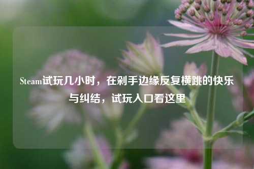 Steam试玩几小时,在剁手边缘反复横跳的快乐与纠结,试玩入口看这里