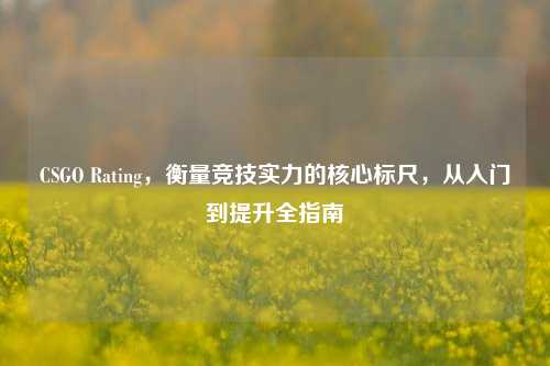 CSGO Rating,衡量竞技实力的核心标尺,从入门到提升全指南