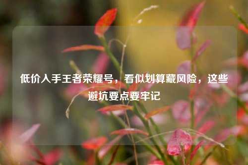 低价入手王者荣耀号，看似划算藏风险，这些避坑要点要牢记