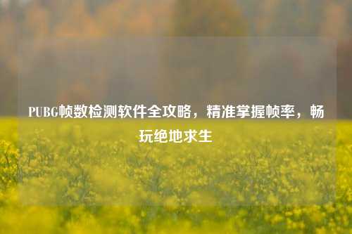 PUBG帧数检测软件全攻略，精准掌握帧率，畅玩绝地求生