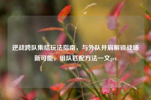 逆战跨队集结玩法指南，与外队并肩解锁战场新可能，组队匹配方法一文get