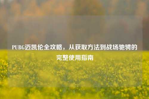 PUBG迈凯伦全攻略，从获取方法到战场驰骋的完整使用指南
