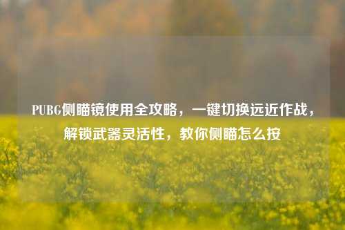 PUBG侧瞄镜使用全攻略，一键切换远近作战，解锁武器灵活性，教你侧瞄怎么按