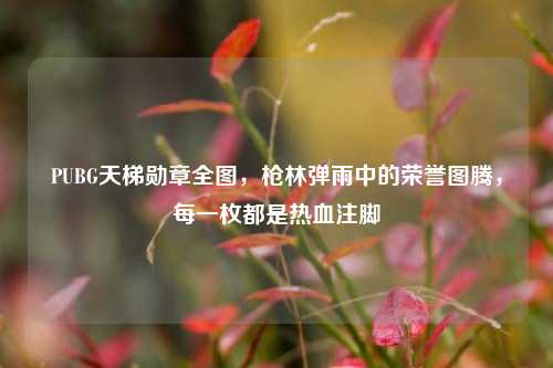PUBG天梯勋章全图,枪林弹雨中的荣誉图腾,每一枚都是热血注脚