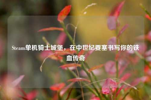 Steam单机骑士城堡,在中世纪要塞书写你的铁血传奇