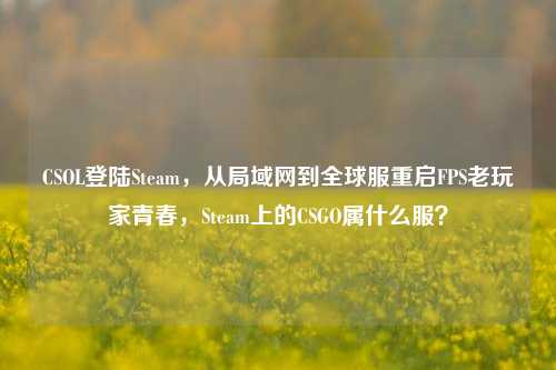 CSOL登陆Steam，从局域网到全球服重启FPS老玩家青春，Steam上的CSGO属什么服？