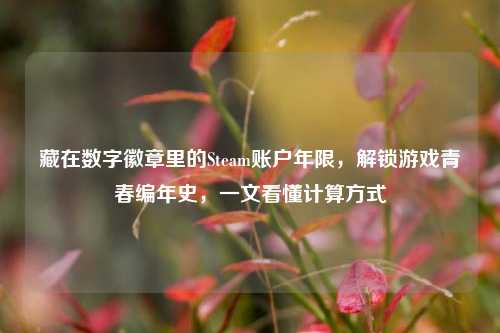 藏在数字徽章里的Steam账户年限，解锁游戏青春编年史，一文看懂计算方式