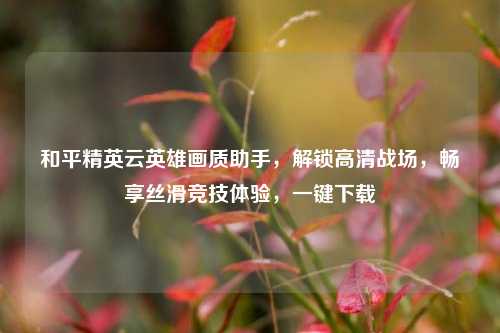 和平精英云英雄画质助手，解锁高清战场，畅享丝滑竞技体验，一键下载