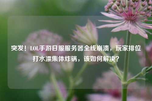 突发!LOL手游日服服务器全线崩溃,玩家排位打水漂集体炸锅,该如何解决?