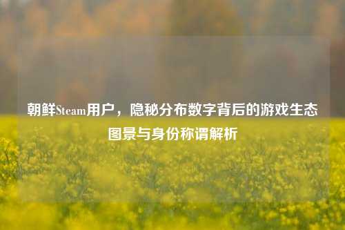 朝鲜Steam用户，隐秘分布数字背后的游戏生态图景与身份称谓解析