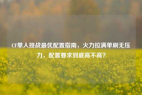 CF单人挑战最优配置指南，火力拉满单刷无压力，配置要求到底高不高？