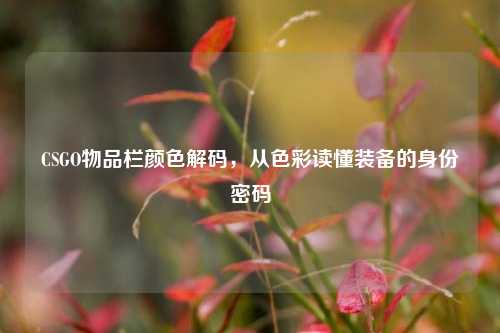 CSGO物品栏颜色解码,从色彩读懂装备的身份密码
