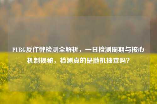 PUBG反作弊检测全解析，一日检测周期与核心机制揭秘，检测真的是随机抽查吗？