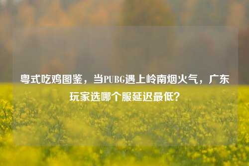 粤式吃鸡图鉴,当PUBG遇上岭南烟火气,广东玩家选哪个服延迟最低?