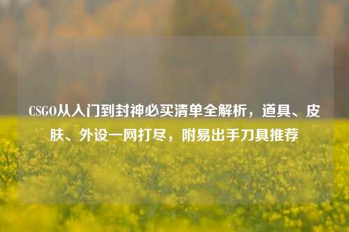 CSGO从入门到封神必买清单全解析，道具、皮肤、外设一网打尽，附易出手刀具推荐
