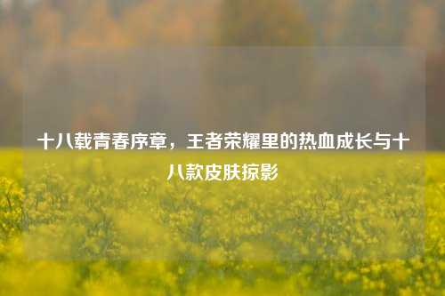 十八载青春序章,王者荣耀里的热血成长与十八款皮肤掠影