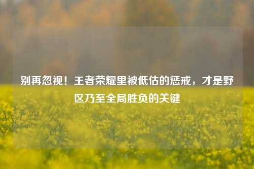 别再忽视！王者荣耀里被低估的惩戒，才是野区乃至全局胜负的关键