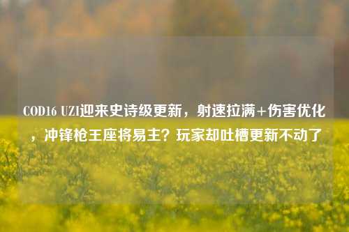 COD16 UZI迎来史诗级更新，射速拉满+伤害优化，冲锋枪王座将易主？玩家却吐槽更新不动了