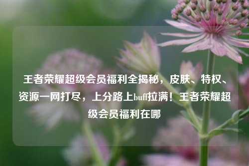 王者荣耀超级会员福利全揭秘，皮肤、特权、资源一网打尽，上分路上buff拉满！王者荣耀超级会员福利在哪