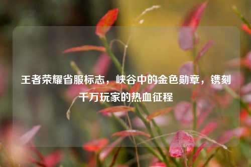 王者荣耀省服标志，峡谷中的金色勋章，镌刻千万玩家的热血征程