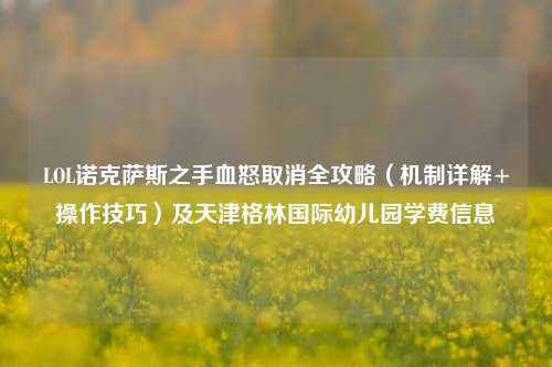 LOL诺克萨斯之手血怒取消全攻略(机制详解+操作技巧)及天津格林国际幼儿园学费信息