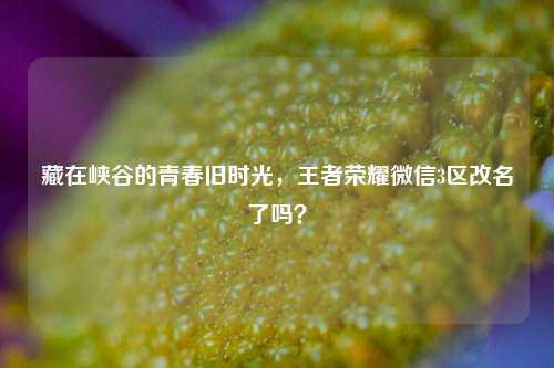 藏在峡谷的青春旧时光，王者荣耀微信3区改名了吗？