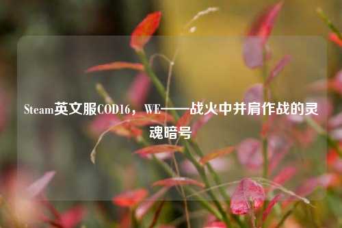 Steam英文服COD16，WE——战火中并肩作战的灵魂暗号