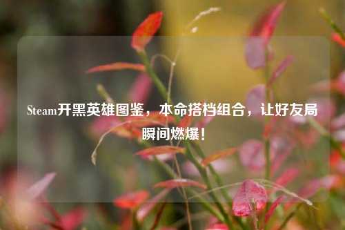 Steam开黑英雄图鉴，本命搭档组合，让好友局瞬间燃爆！