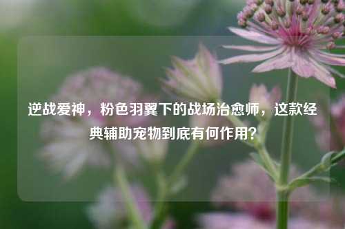 逆战爱神,粉色羽翼下的战场治愈师,这款经典辅助宠物到底有何作用?
