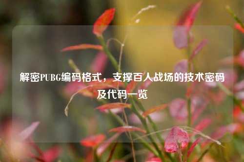 解密PUBG编码格式,支撑百人战场的技术密码及代码一览