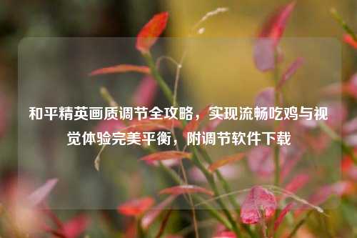 和平精英画质调节全攻略,实现流畅吃鸡与视觉体验完美平衡,附调节软件下载