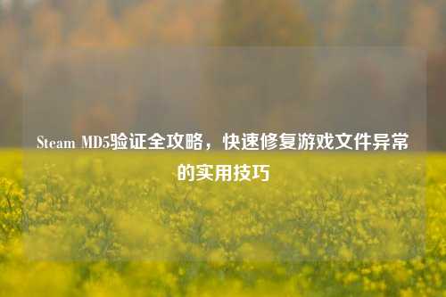 Steam MD5验证全攻略，快速修复游戏文件异常的实用技巧
