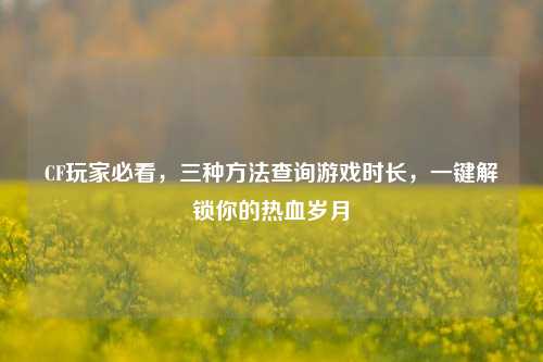 CF玩家必看，三种方法查询游戏时长，一键解锁你的热血岁月