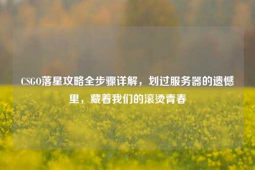 CSGO落星攻略全步骤详解，划过服务器的遗憾里，藏着我们的滚烫青春