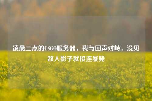 凌晨三点的CSGO服务器,我与回声对峙,没见敌人影子就接连暴毙