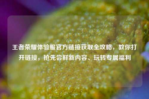 王者荣耀体验服官方链接获取全攻略，教你打开链接，抢先尝鲜新内容、玩转专属福利